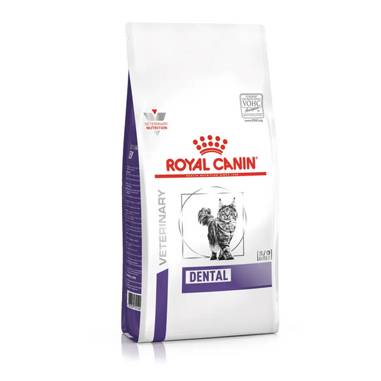 Dental Dry Food For Cat