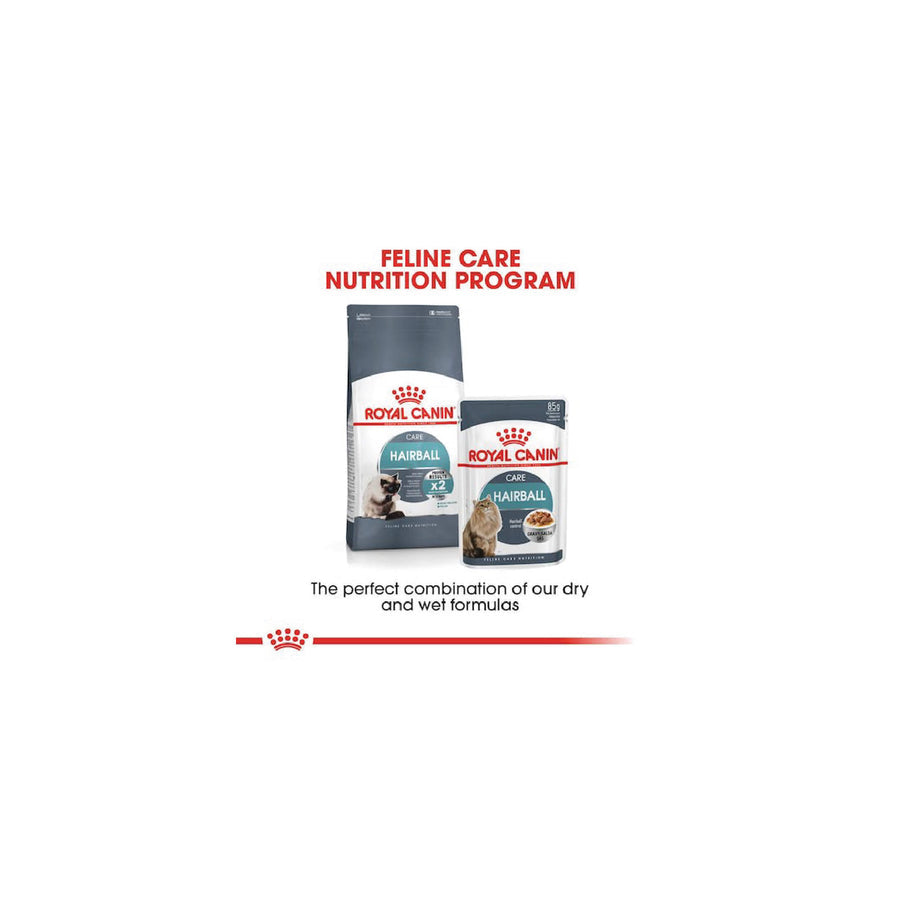 Hairball Care Dry Cat Food
