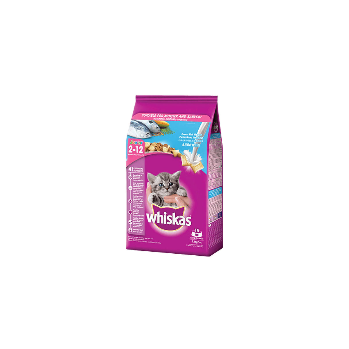 WHISKAS CAT KITTEN 2-12 MONTHS JUNIOR KIBBLE, OCEAN FISH FLAVOR WITH MILK FLAVOR
