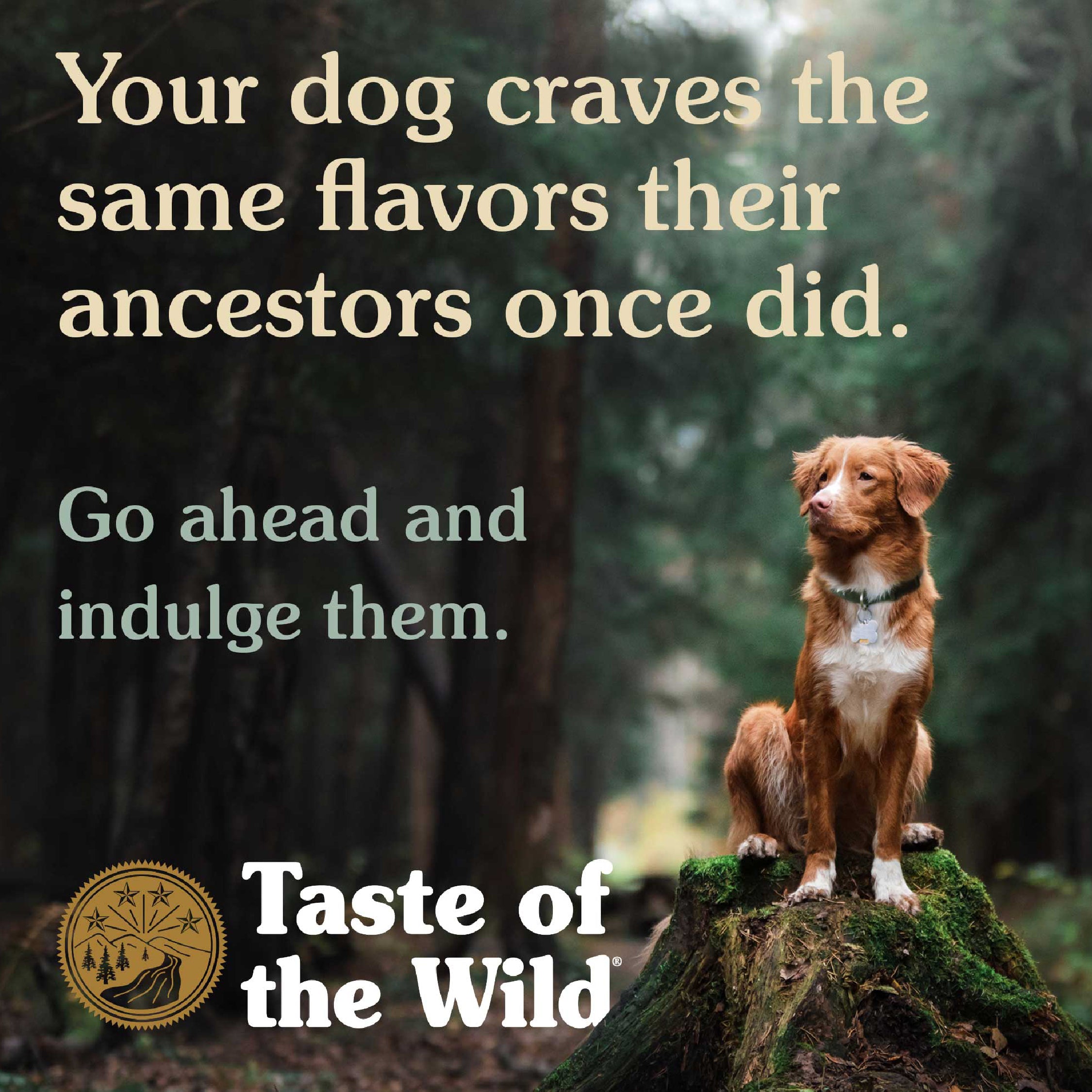 Taste of the Wild High Prairie Puppy