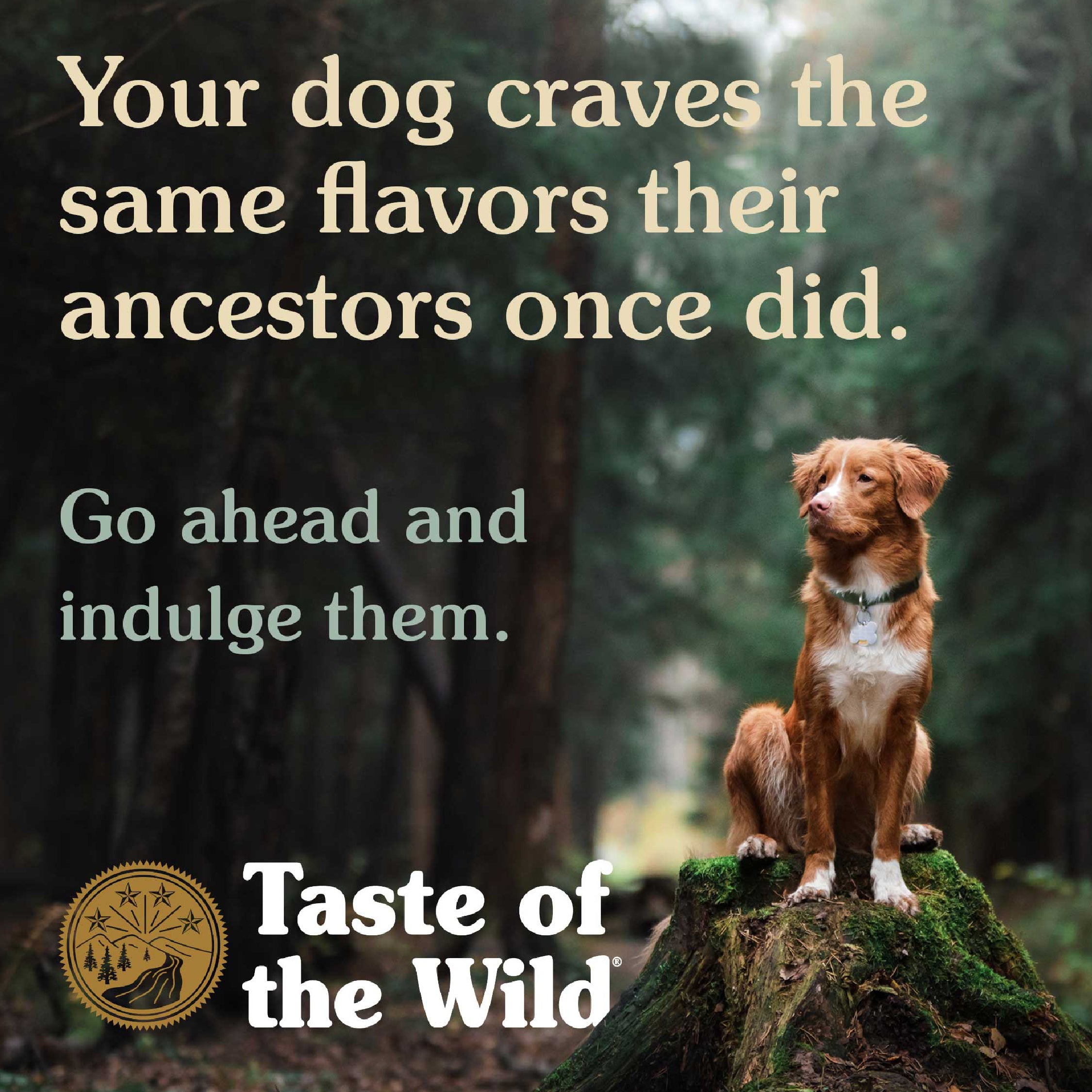 Taste Of The Wild Adult Wetlands Canine Recipe with Roasted Fowl