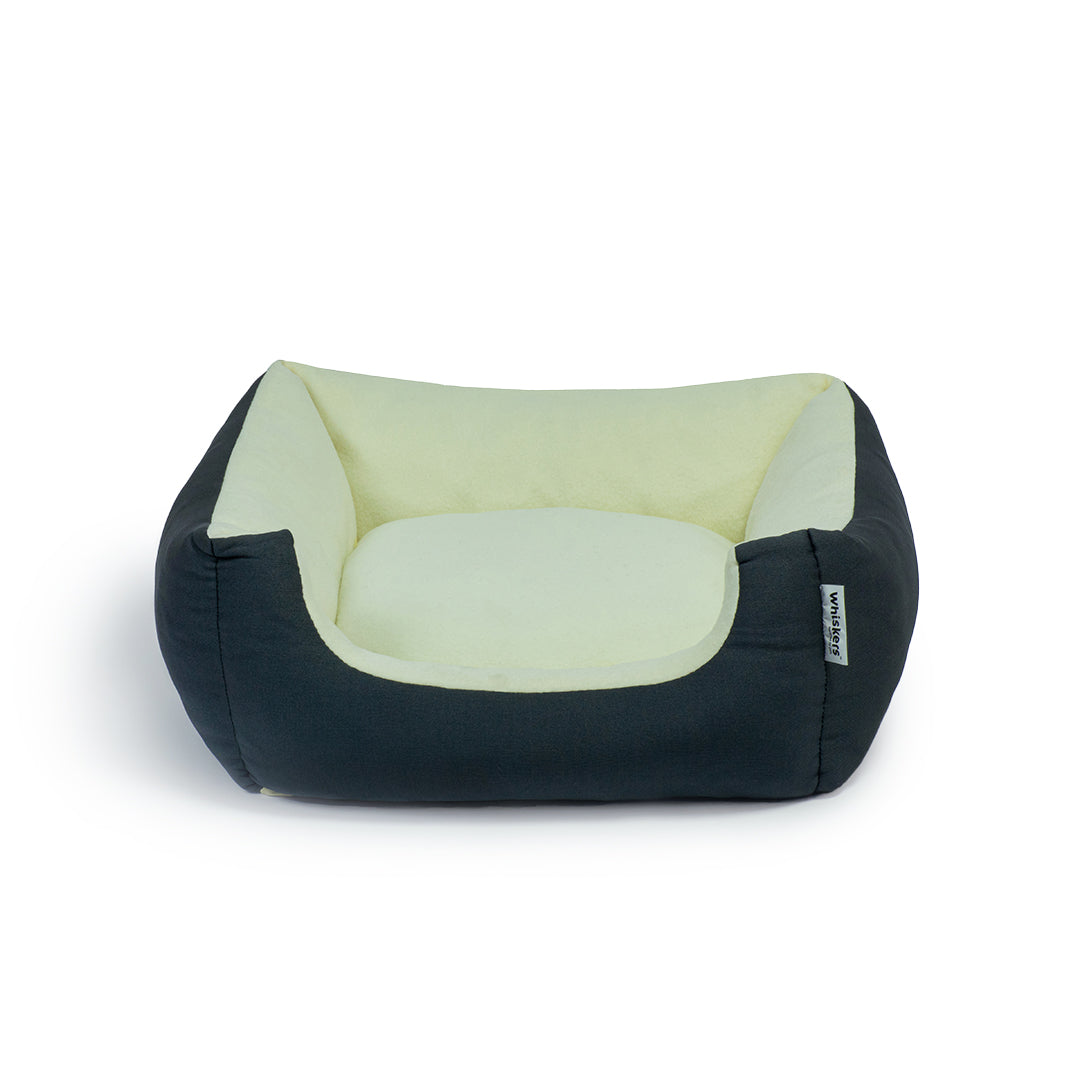 Venus Bed for Kitten