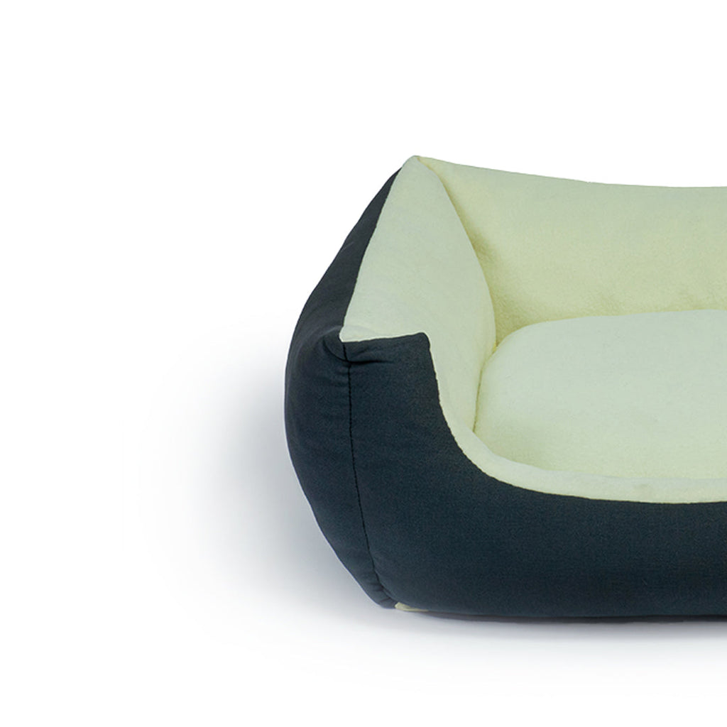 Venus Bed for Kitten