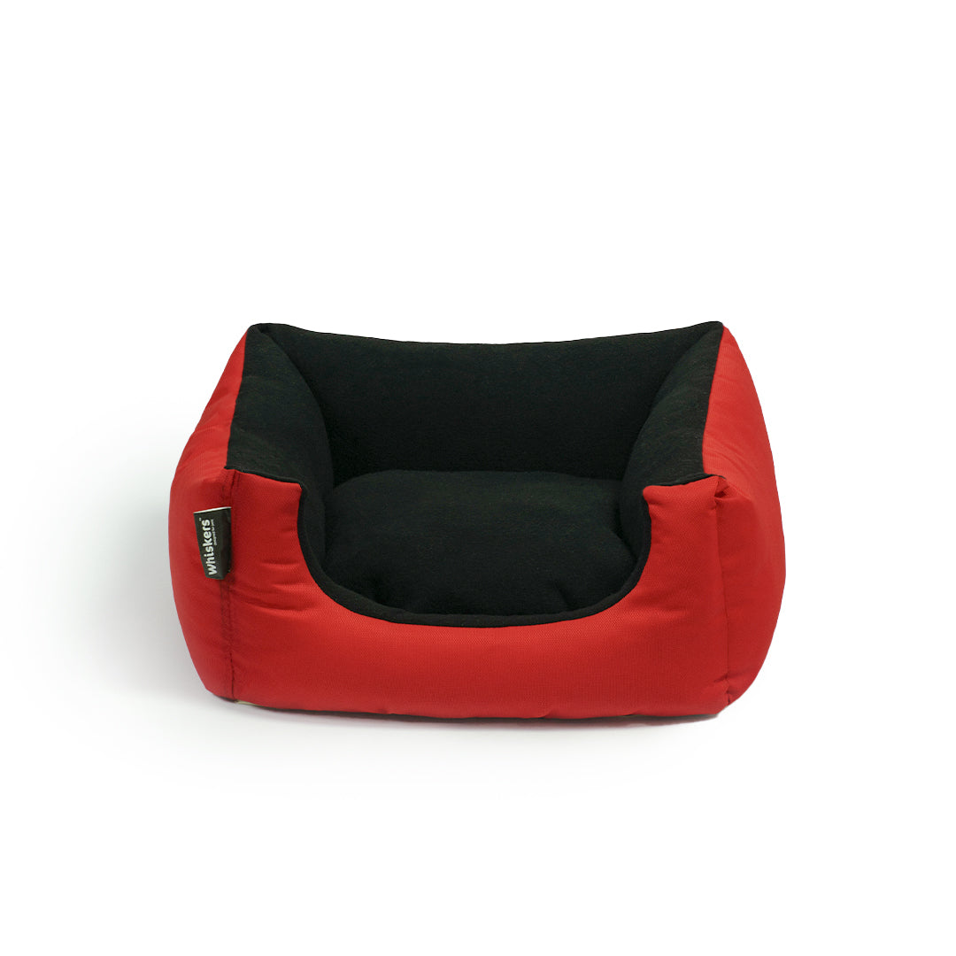Venus Bed for Kitten