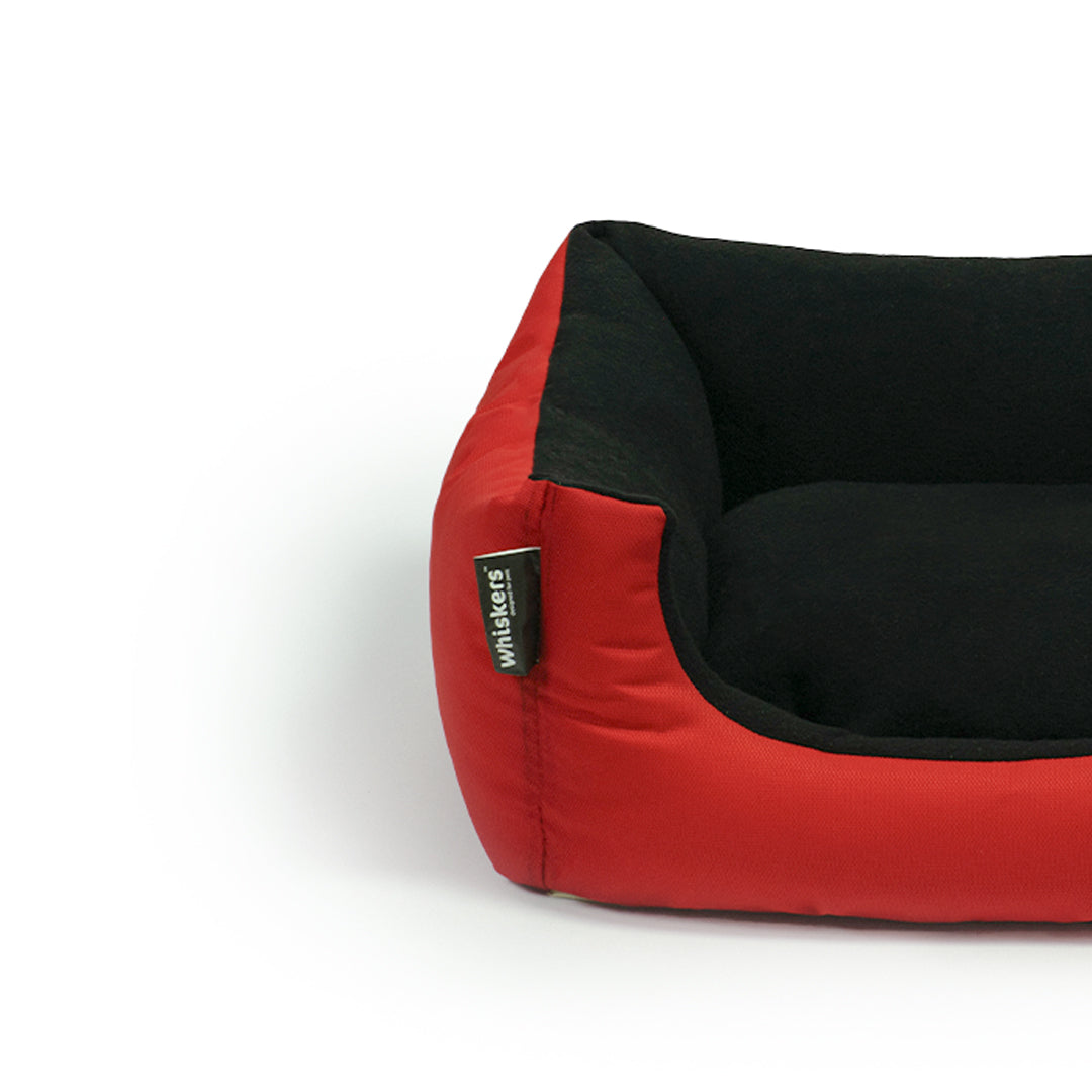 Venus Bed for Kitten